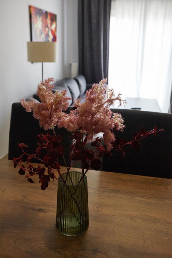 C.L.A. 2 City Lux Apartment Alaxandroupoli อเล็กซานโดรโพลิส ภายนอก รูปภาพ